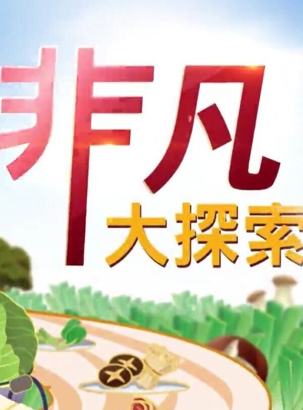 熟女 - 91在线看片